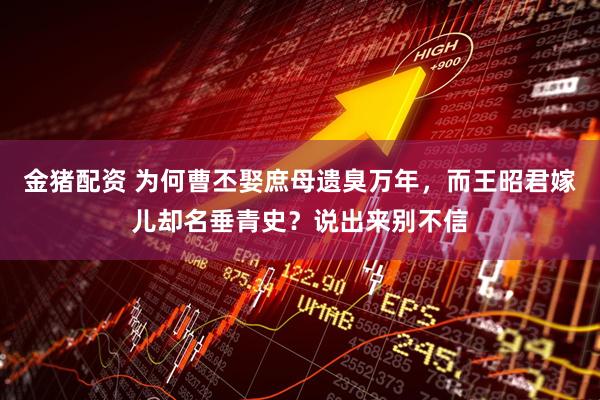 金猪配资 为何曹丕娶庶母遗臭万年，而王昭君嫁儿却名垂青史？说出来别不信