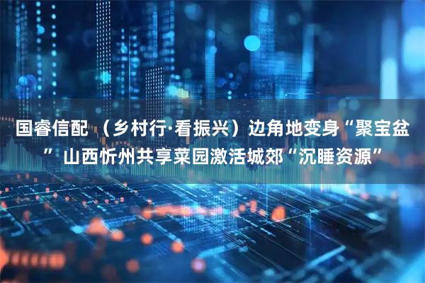 国睿信配 （乡村行·看振兴）边角地变身“聚宝盆” 山西忻州共享菜园激活城郊“沉睡资源”